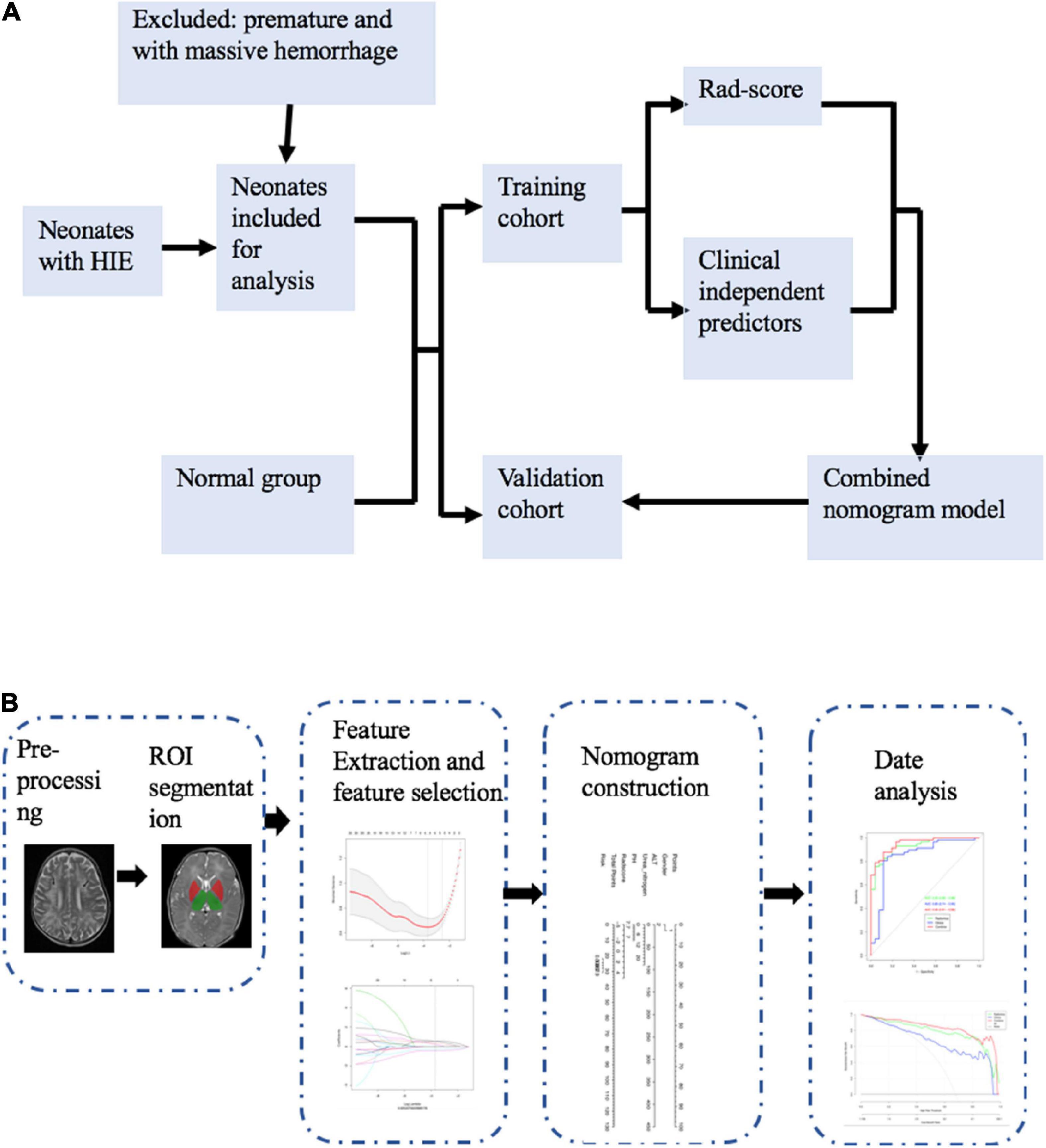 A radiomics-based study of deep medullary veins in infants: Evaluation of neonatal brain injury with hypoxic-ischemic encephalopathy via susceptibility-weighted imaging